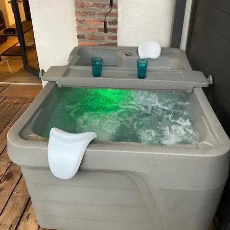 Les Spas De La Chartreuse Tarbes Exterior photo
